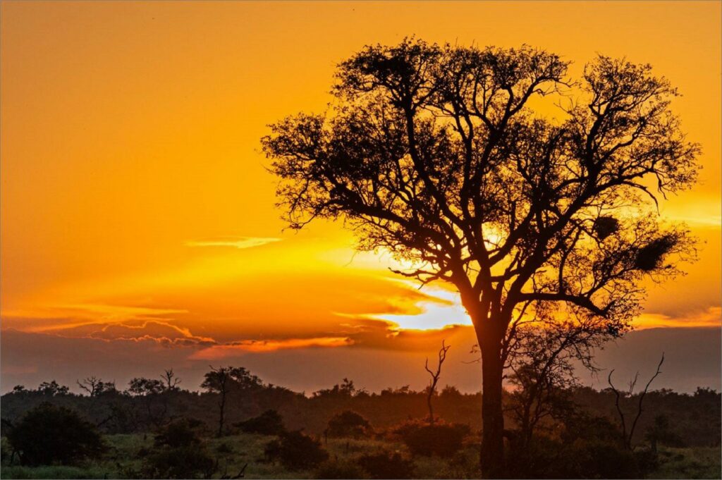 Evening Sundown
