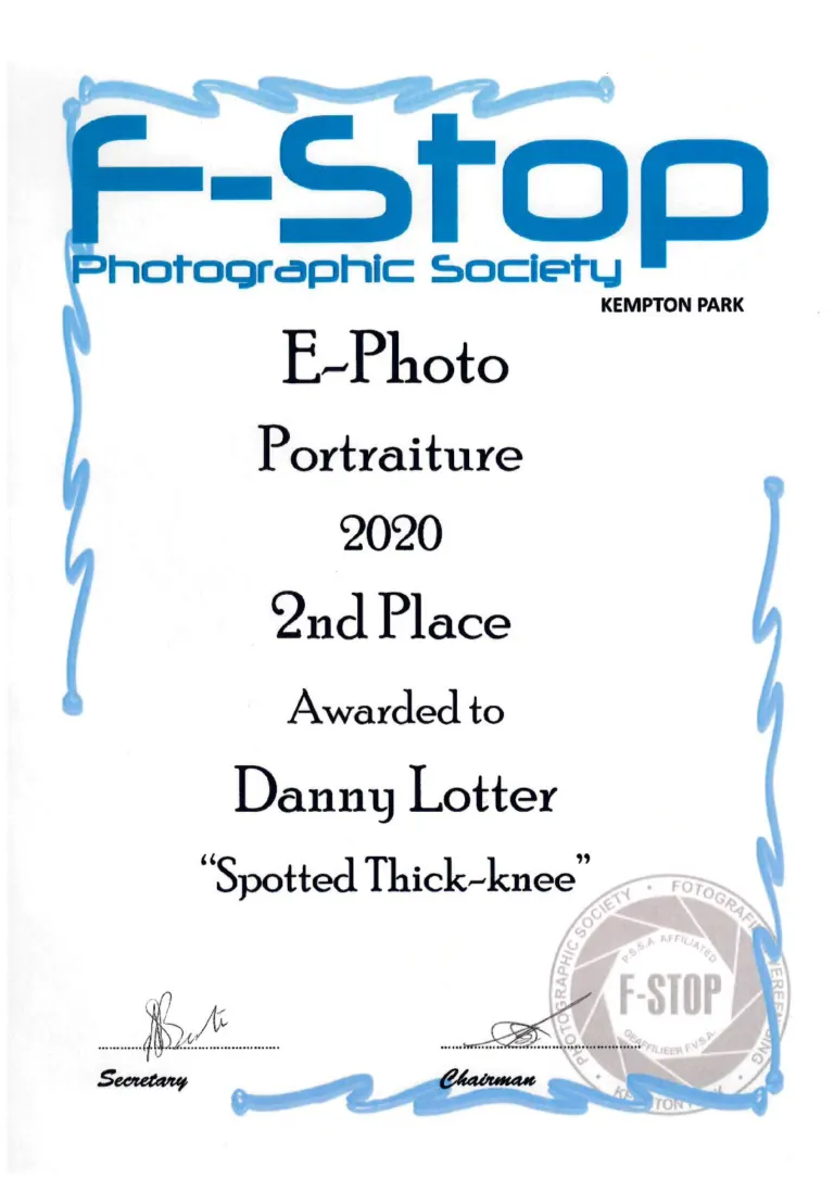Certificate: 2nd Place, E-Photo Portraiture: Spotted Thick-knee - Danny Lotter