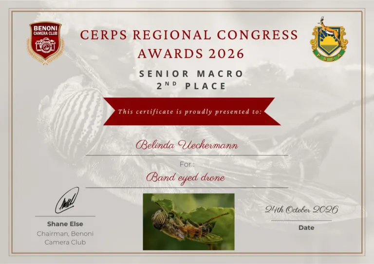 2nd Place Senior Macro, Belinda Ueckermann
