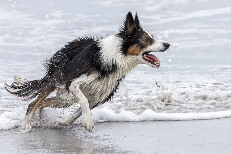 On the run, Marthinus Odendaal