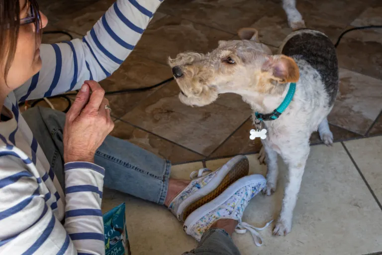Dog portrait workshop with Cathy Dooley