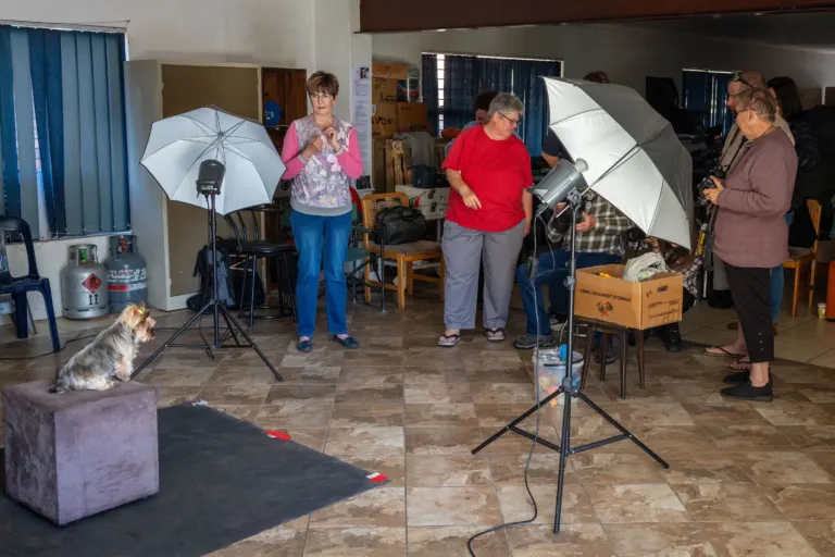 Dog portrait workshop with Cathy Dooley