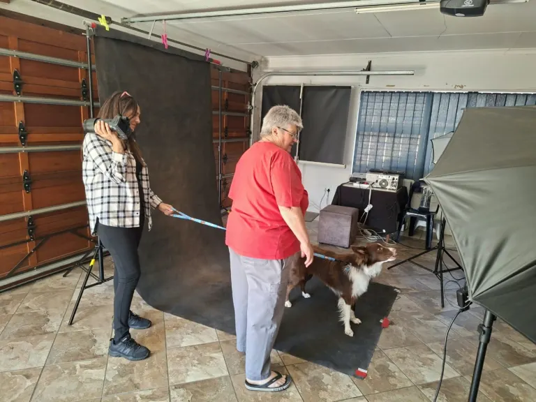 Dog portrait workshop with Cathy Dooley