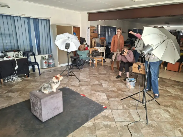 Dog portrait workshop with Cathy Dooley
