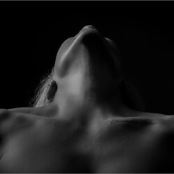 Neckline Reverie, Belinda Ueckermann