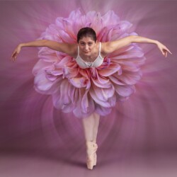 Bloom in Motion, Belinda Ueckermann