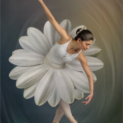 Petal dance, Belinda Ueckermann