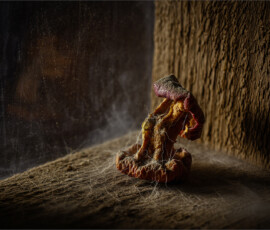 Left in the Corner Left in the Corner, Arnold Bester