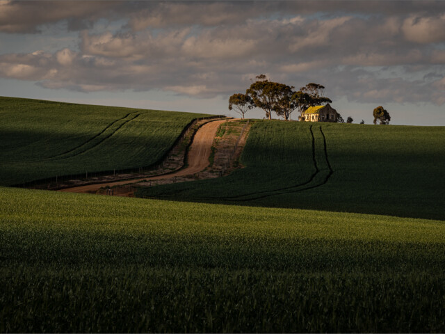 The church on the hill The church on the hill, Belinda Ueckermann