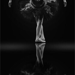 Where Grace Meets Shadow Where Grace Meets Shadow, Belinda Ueckermann