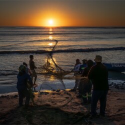 Traditional Cape fishing Traditional Cape fishing, Belinda Ueckermann