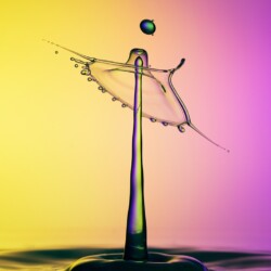 Crowned Stem Crowned Stem, Arnold Bester