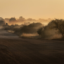 Dusty Sunset Dusty Sunset, Belinda Ueckermann