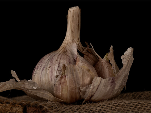 Falling Apart Falling Apart, Maureen Fourie