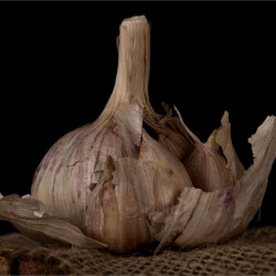 Falling Apart Falling Apart, Maureen Fourie
