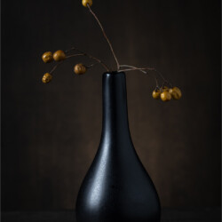 Fruity Twigs in Vase Fruity Twigs in Vase, Arnold Bester