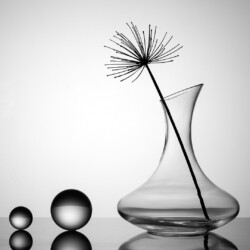 Glass Contrast Glass Contrast, Arnold Bester
