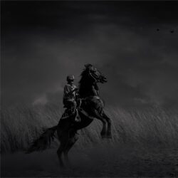 Stuburn horse Stuburn horse, Annaline Werth