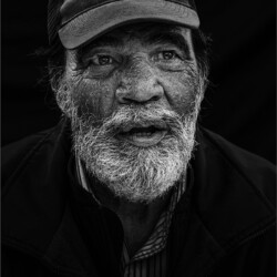Hendrik the Wise, Arnold Bester
