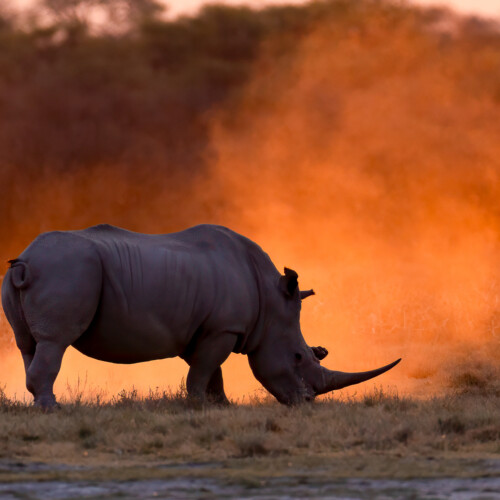 Sunset bath Sunset bath, Tielman de Villiers
