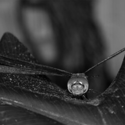 Timing is everything Timing is everything, Andries Francois Botha