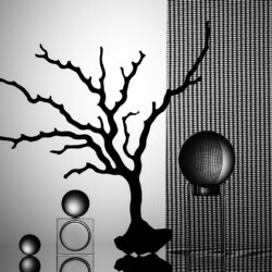 Tree and Spheres, Arnold Bester