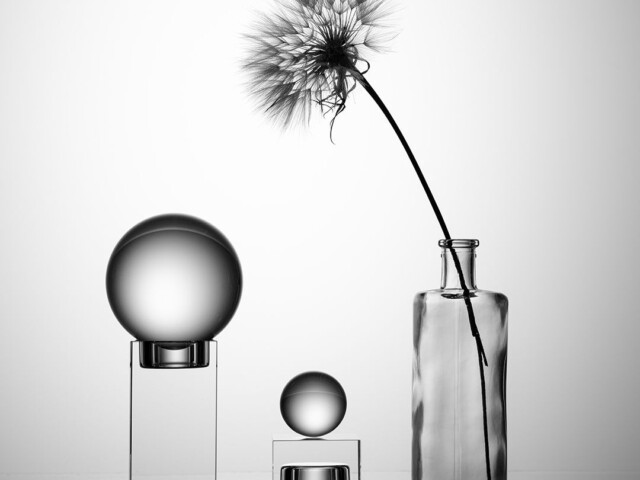 Silhouette glass Dandelion Silhouette glass Dandelion, Arnold Bester