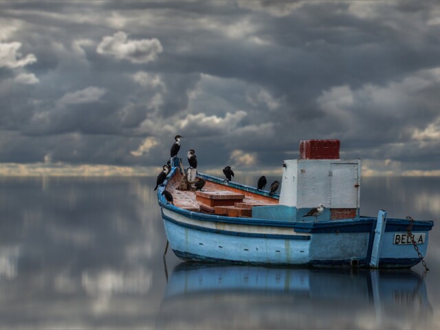Calm waters Calm waters, Belinda Ueckermann
